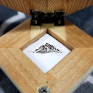 Meet your Posher, Kelsey and evan